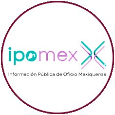 ipomex 4.0
